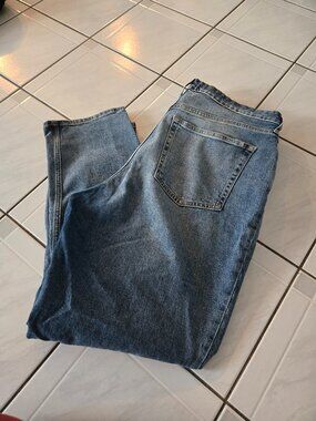 Everlane Curvy Cheeky Jeans Medium Blue 32